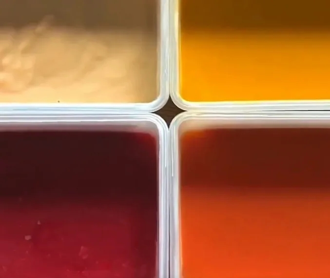 product card background