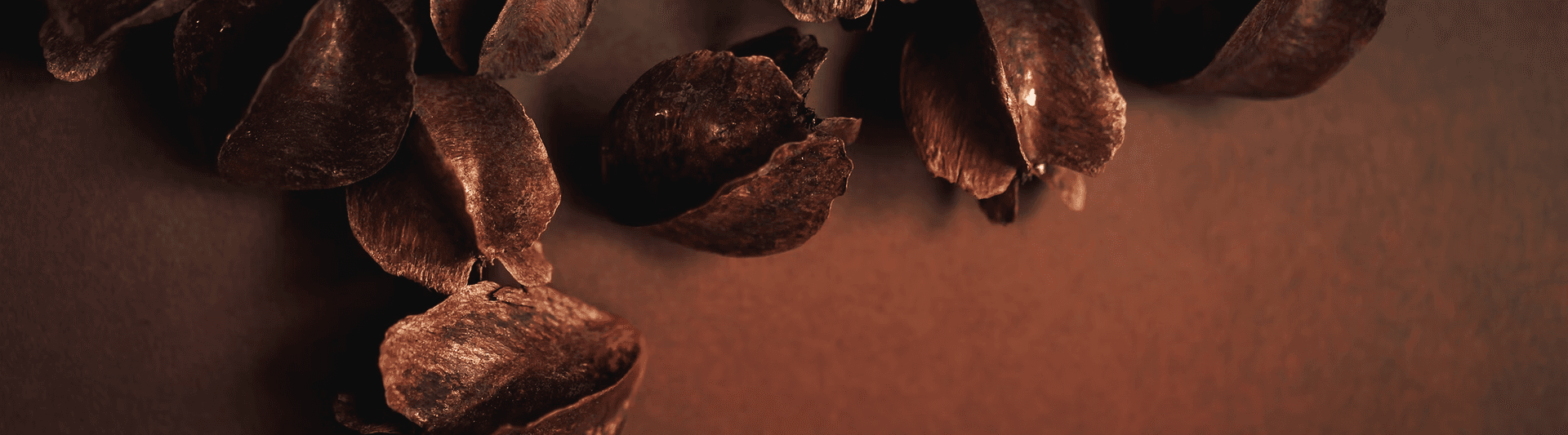 catalog banner